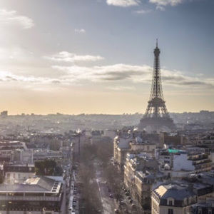 Meet your Posher, Gracie